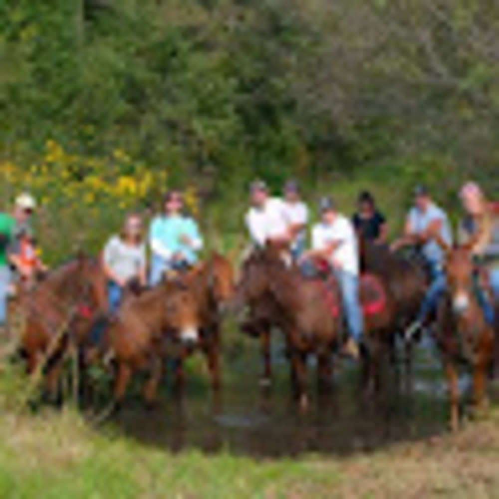 Meet your Posher, Janet